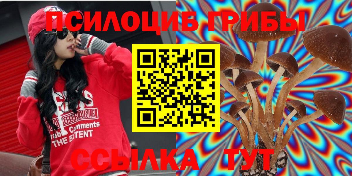 Псилоцибиновые грибы MAGIC MUSHROOMS Лесозаводск