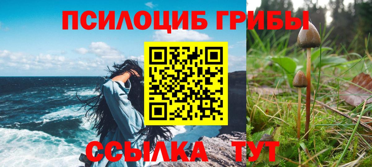 Лесозаводск  Псилоцибиновые грибы GOLDEN TEACHER  Вход с VPN 